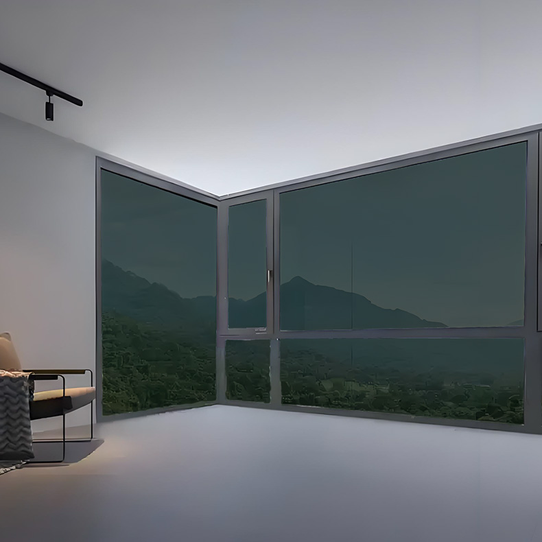 película para ventana de construcción