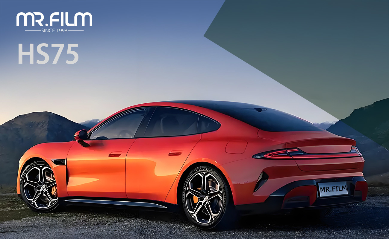 car paint protection film película protectora de pintura de coche