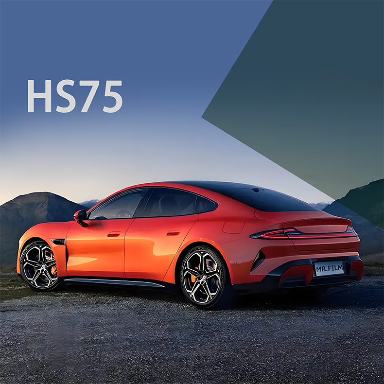 pel&iacute;cula para ventanas de autom&oacute;viles 