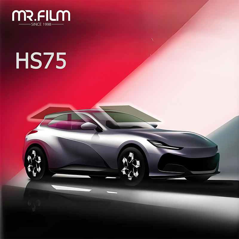 Película para Windows para tinte de privacidad para automóviles