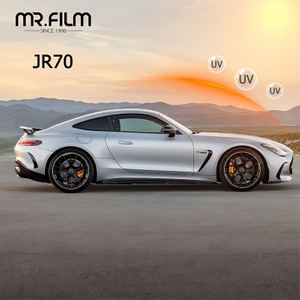 mascota para coches película de ventana de control de calor