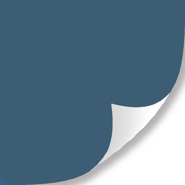 pel&iacute;cula de envoltura de coche