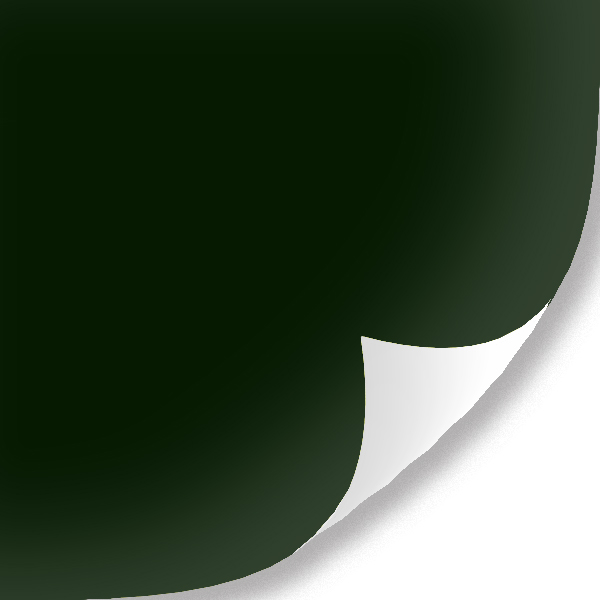 pel&iacute;cula de envoltura de coche